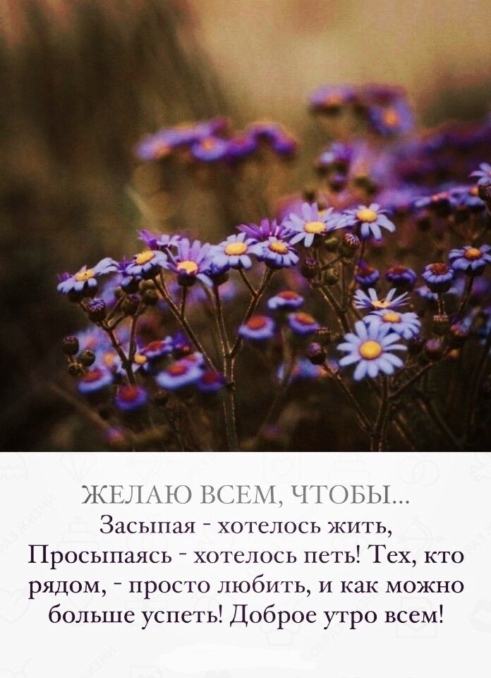 ***Victoria Viktorovna*** - 26  2024  05:39