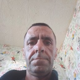 , 41, 