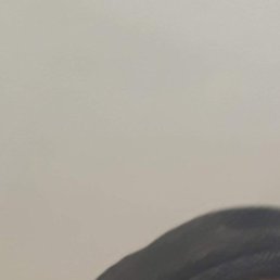 , , 54 