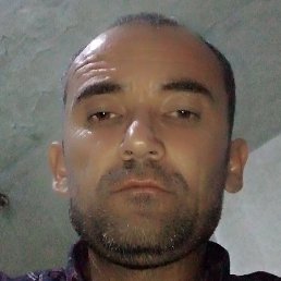 ���, ������ ��������, 41 ���