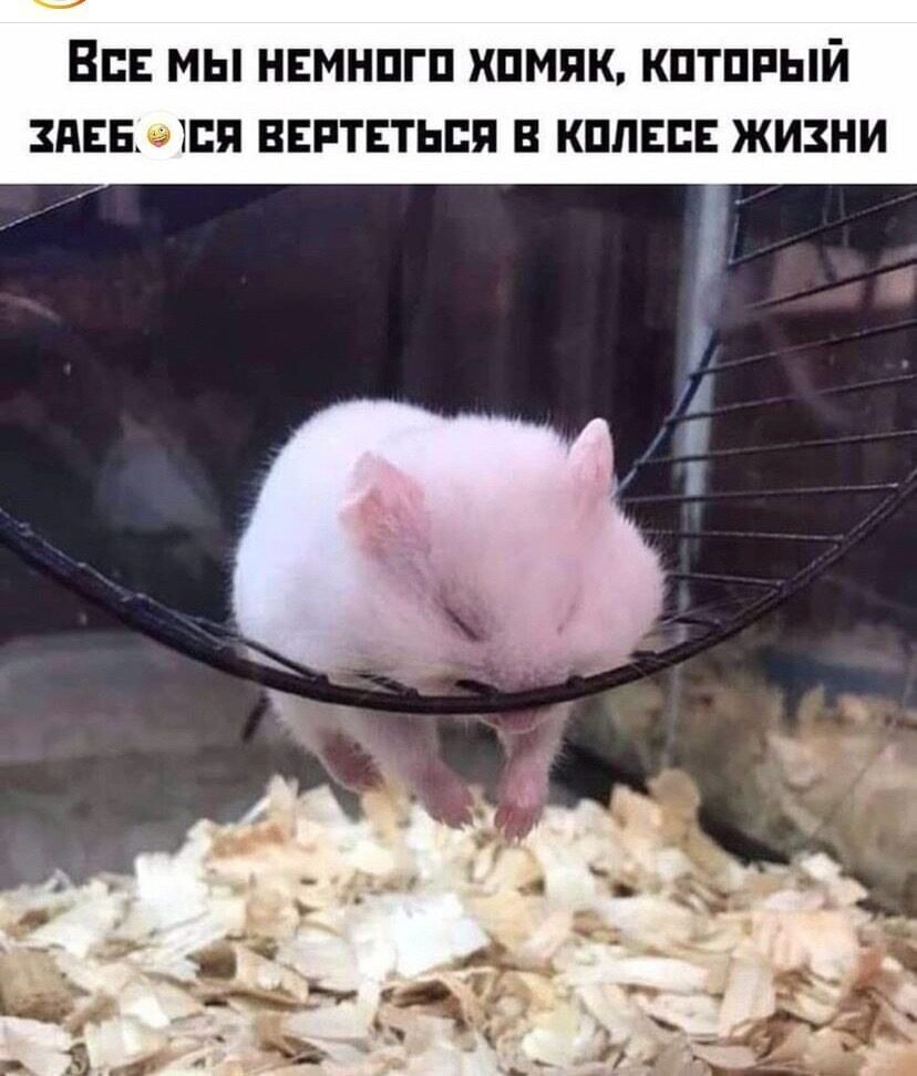 ***Victoria Viktorovna*** - 16  2024  17:34