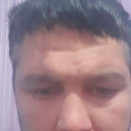 ���������, �����, 44 ����