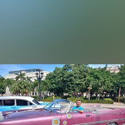 �������, ������, 52 ����