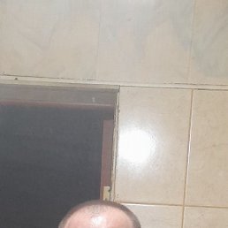 , 38, 