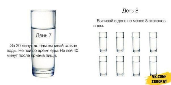 Переходим на правильное питание всего за 20 дней - 4
