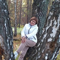 �������, ������, 66 ���