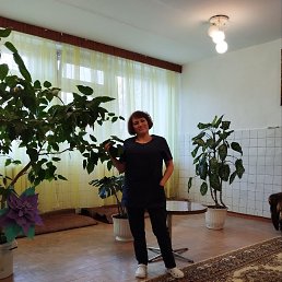 , 57, 