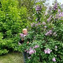 ���� ����, ����, 68 ��� - ��������� 28 ������� 2026 � ������ ���� ����������