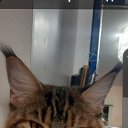 ���� �������, ���������� - ��������� 3 ������ 2025 � ������ ���� ����������