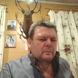 , 50 , -