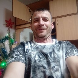 ��������, 43 ����, ����