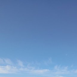 ��������, ������ ��������, 40 ���