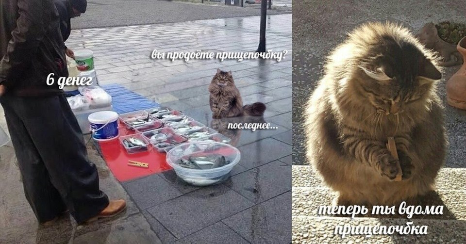  - 5  2025  11:44