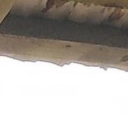 �����, 42 ����, ����