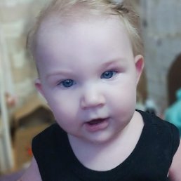 David, �����-���������, 37 ���