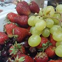 ���� ������, ����, 52 ���� - ��������� 24 ���� 2024 � ������ ���� ����������