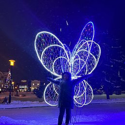 ���� ���, �����, 47 ��� - ��������� 16 ������ 2024