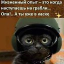 ���� ��������, ������� - ��������� 12 ������ 2026 � ������ ������ ��������