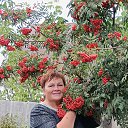  ., , 66  -  25  2025    