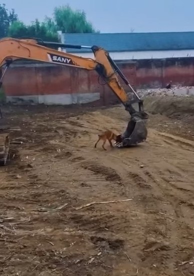 ������ ����. ������ ����� �� ������ ���� ������� ��������