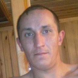 �������, ���, 41 ���