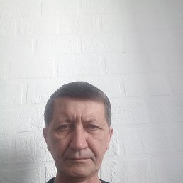 , 55, 