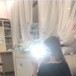 ���� ���, ������, 38 ��� - ��������� 21 ������ 2024