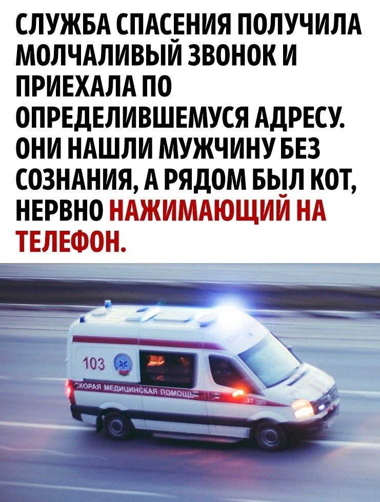 ,   ! - 3