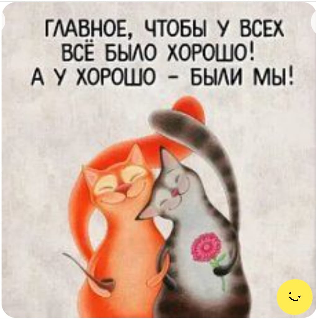 s - 6  2024  11:49