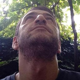 �������, ��������, 37 ���