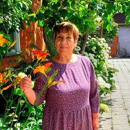 ����, �������, 73 ����