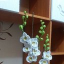 ���� Alena, �������, 56 ��� - ��������� 3 ����� 2025 � ������ ���� ��������� ����