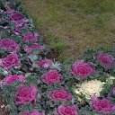 ���� �������, �����-���������, 37 ��� - ��������� 30 ������� 2023 � ������ ���� ����������