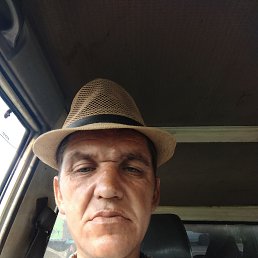 , 37, 