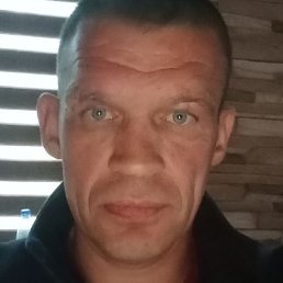 �������, �����, 43 ����