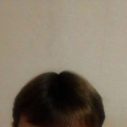  , --, 50  -  31  2025