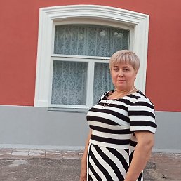 , , 50 