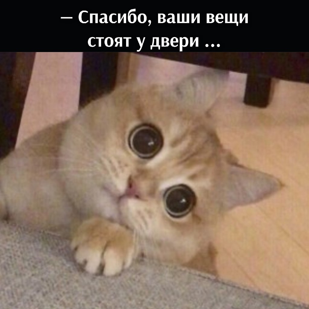       - 14  2025  17:34 - 3