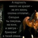 ���� ������� (�����!!!), ����������� - ��������� 4 ������ 2026 � ������ ���� ����������