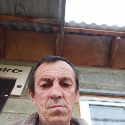 , 54 , 