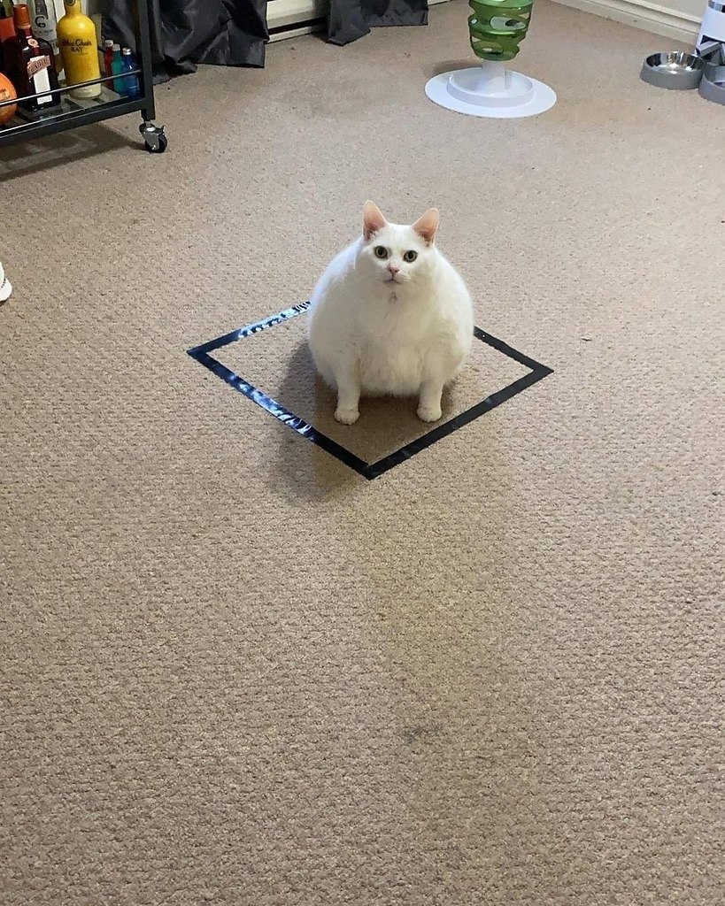��� ������� ������ ��������... - 3