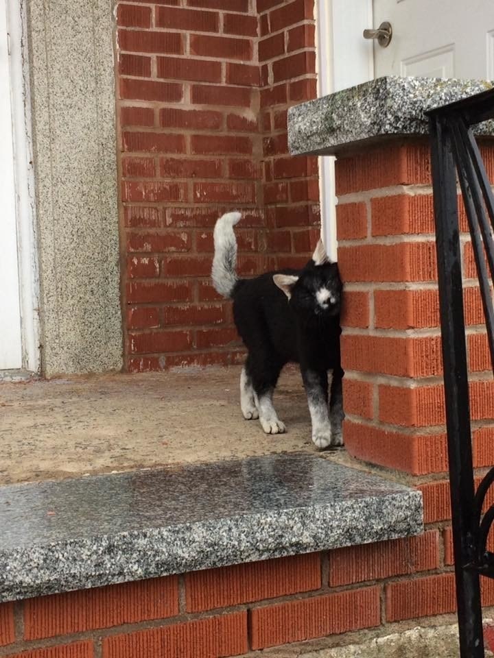 oa ppoa pea oo  oe opac c ocoo aae. apaca a  e, oop ... - 8