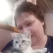  , 41 , 