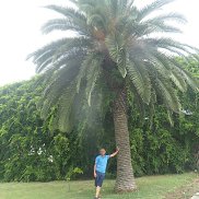 , 64 , 