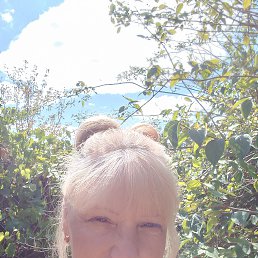 , 61, --