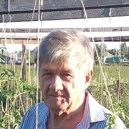 ��������, ����, 75 ���