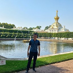 �����, �����-���������, 40 ���