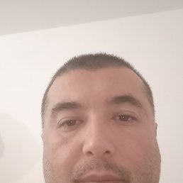 , 40, 