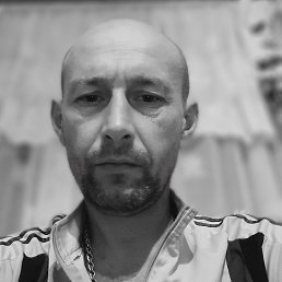 , 38, 