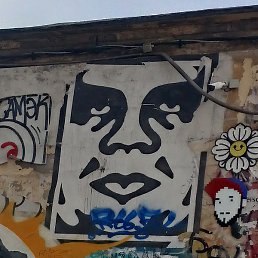 ��������, ��������, 44 ����